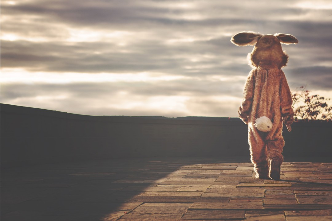 Social media and loneliness