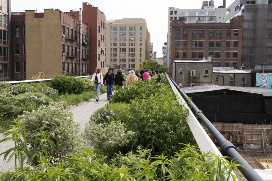 The High Line in NYC