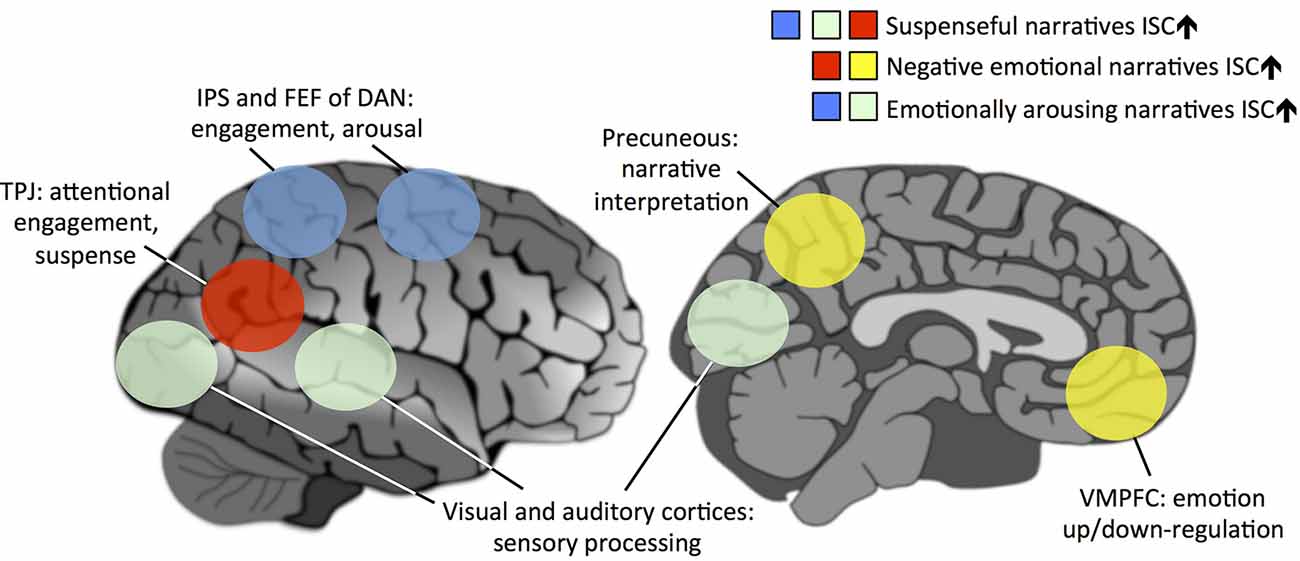 The Decline of Oral Storytelling and Its Impact on a Child’s Brain